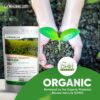 lawnderlust organic lawn fertilizer